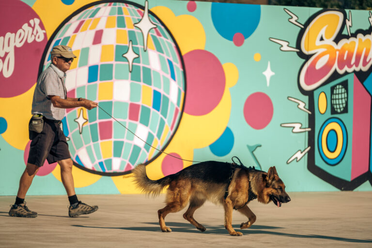 Channon Disco Walk DSC01604