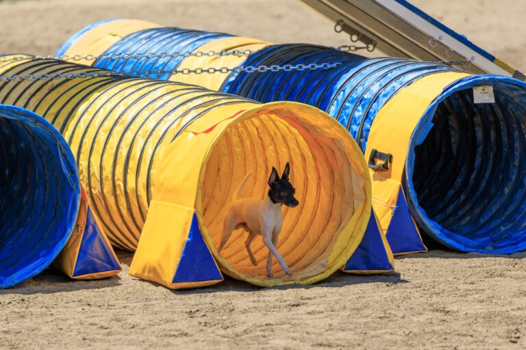 MVA-TDAA-Jett Tunnel06172023-0596