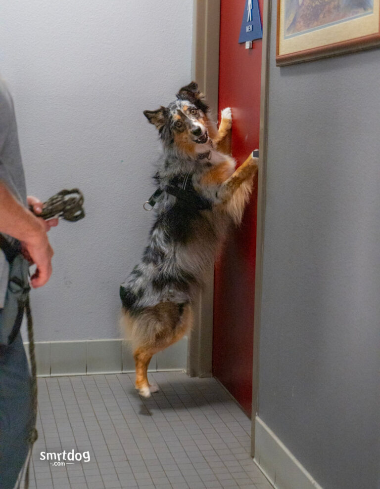 NellyBelle Door smrtdogoct24-39